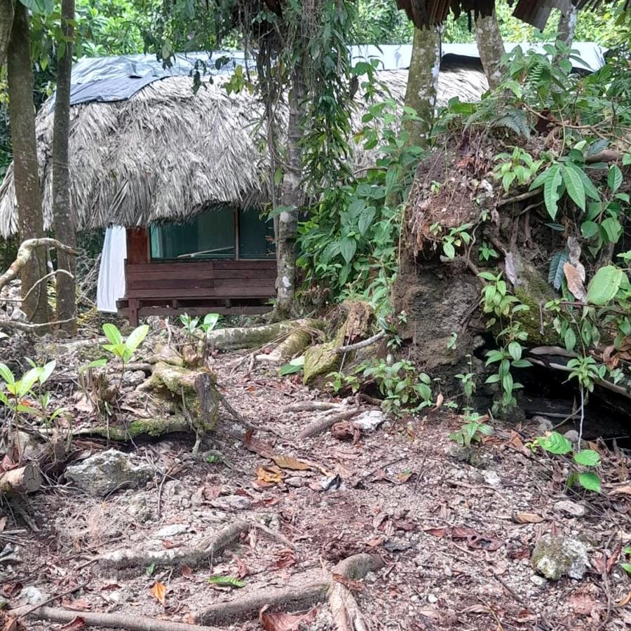 Reserva Natural Selva Mojada Nuquí Extérieur photo